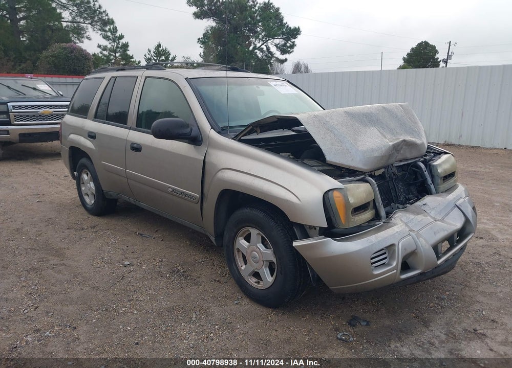 2002 CHEVROLET TRAILBLAZER LS VIN: 1GNDS13S722465324