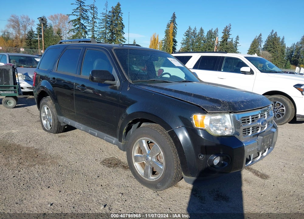 2010 FORD ESCAPE LIMITED VIN: 1FMCU9E70AKB34942