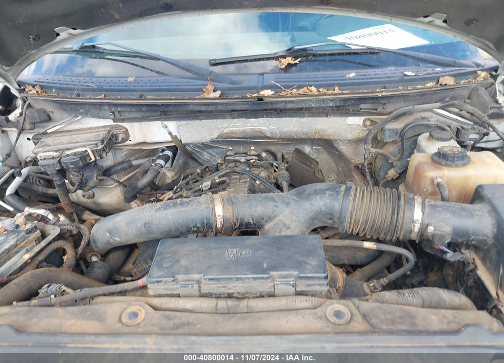 2011 FORD F-150 FX4 VIN: 1FTFW1ET6BFD20053