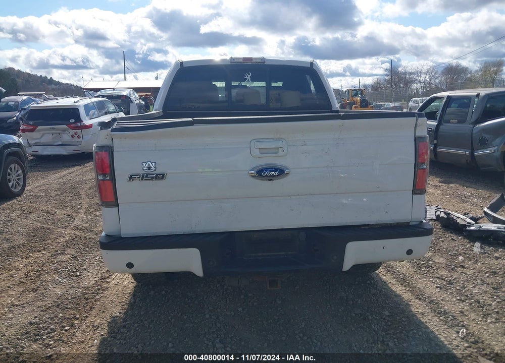 2011 FORD F-150 FX4 VIN: 1FTFW1ET6BFD20053