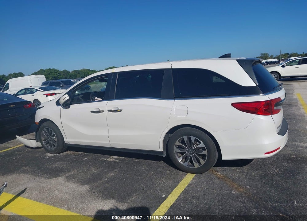 2024 HONDA ODYSSEY EX-L VIN: 5FNRL6H64RB051557