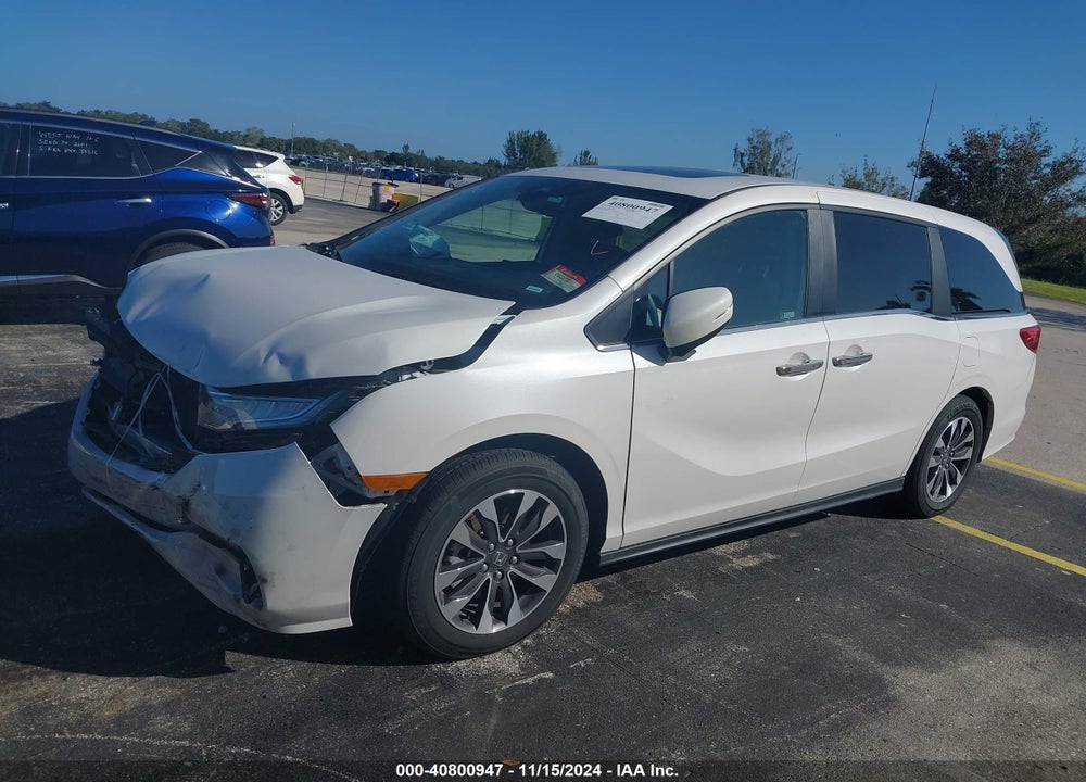 2024 HONDA ODYSSEY EX-L VIN: 5FNRL6H64RB051557
