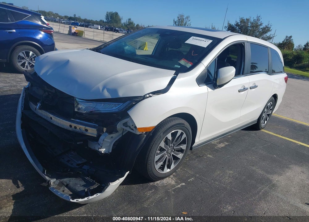 2024 HONDA ODYSSEY EX-L VIN: 5FNRL6H64RB051557