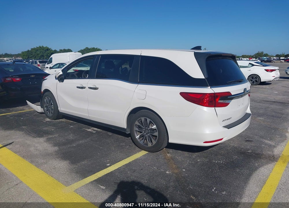 2024 HONDA ODYSSEY EX-L VIN: 5FNRL6H64RB051557