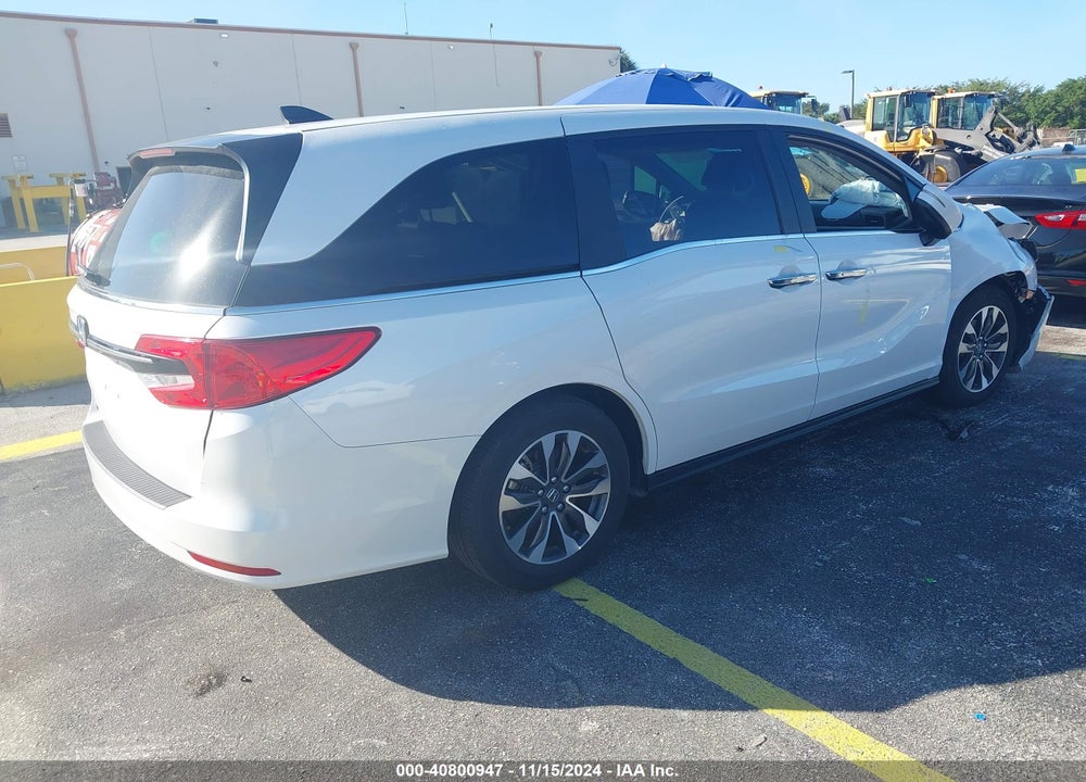 2024 HONDA ODYSSEY EX-L VIN: 5FNRL6H64RB051557