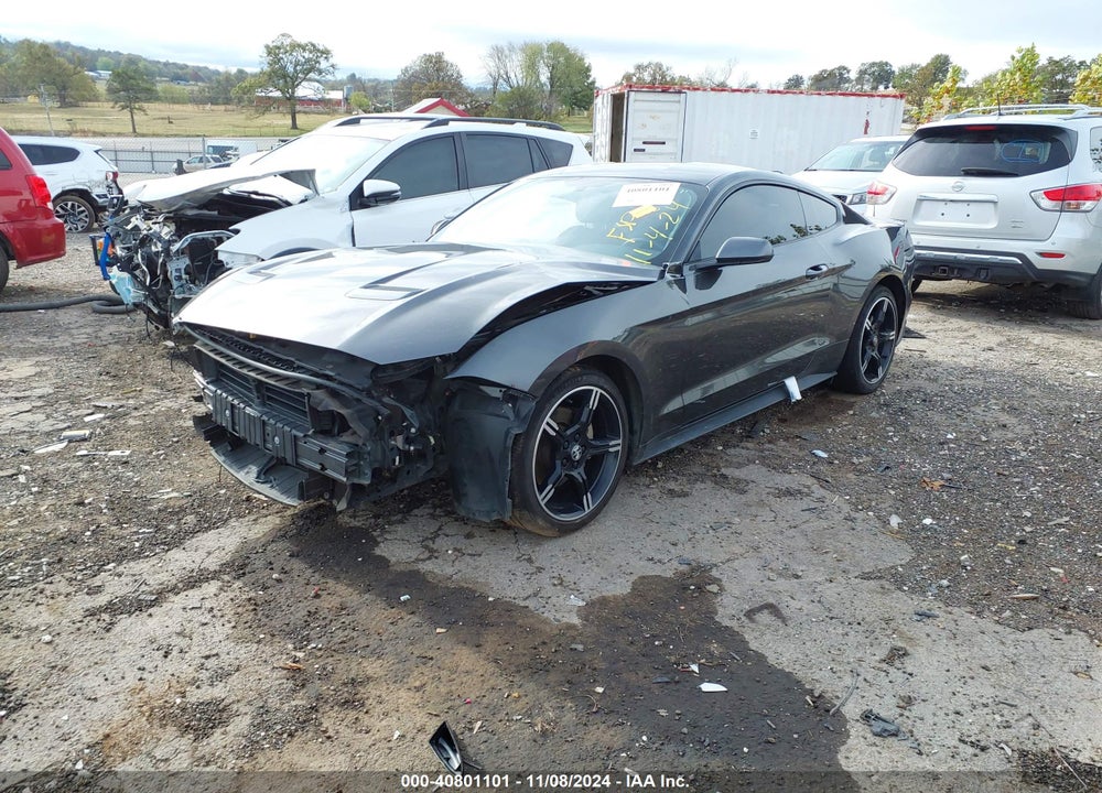 2019 FORD MUSTANG ECOBOOST VIN: 1FA6P8TH3K5118383
