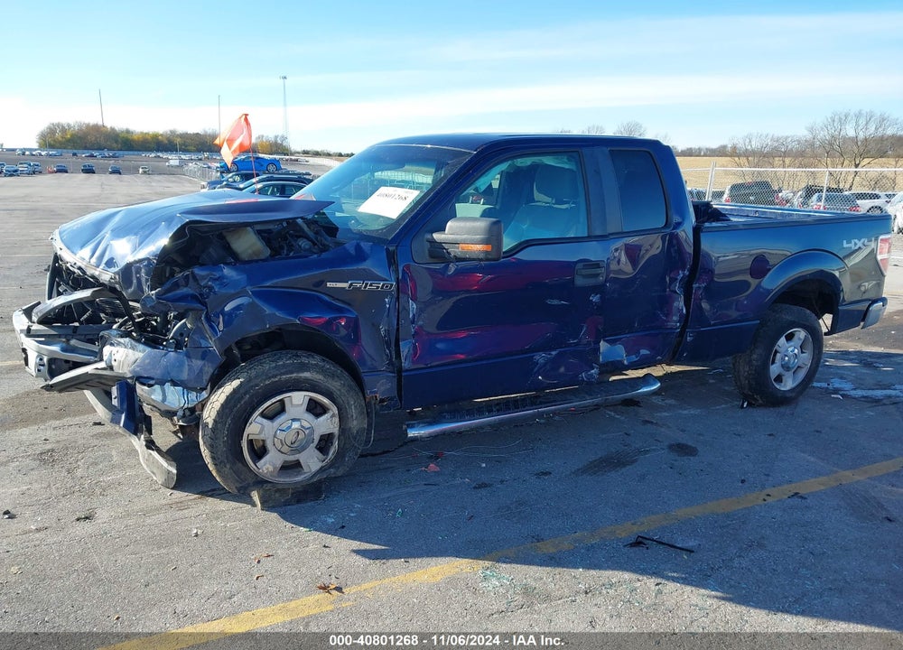 2011 FORD F-150 XLT VIN: 1FTFX1EF6BFC50237