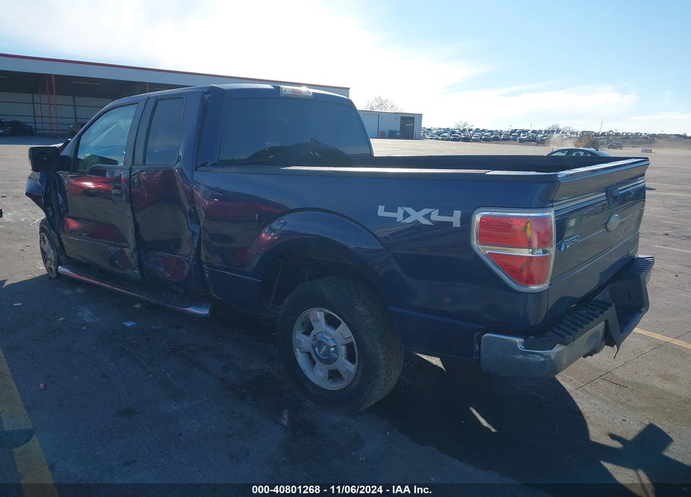 2011 FORD F-150 XLT VIN: 1FTFX1EF6BFC50237