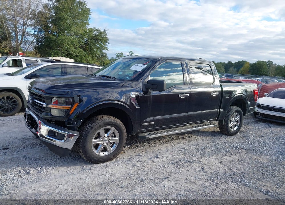2024 FORD F-150 XLT VIN: 1FTFW3LD8RFA41463