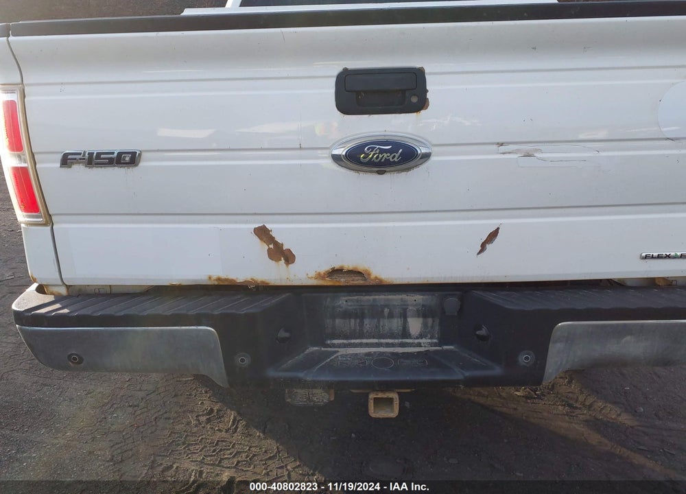 2014 FORD F-150 XL VIN: 1FTFW1EF0EKG10519