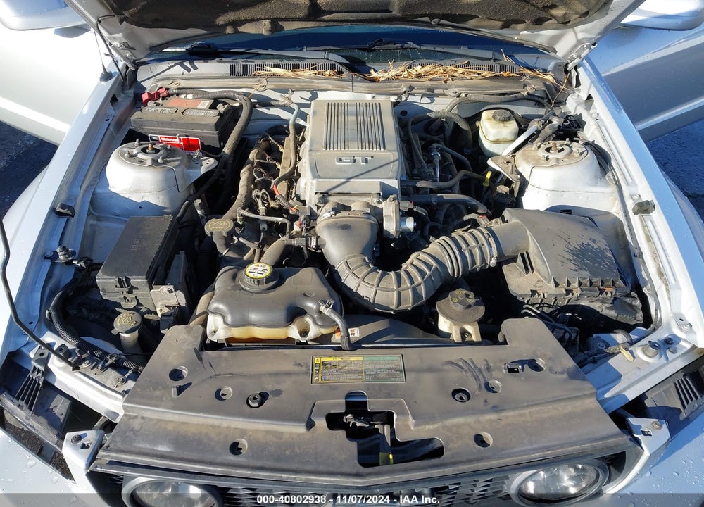 2005 FORD MUSTANG GT DELUXE/GT PREMIUM VIN: 1ZVHT82H555158014