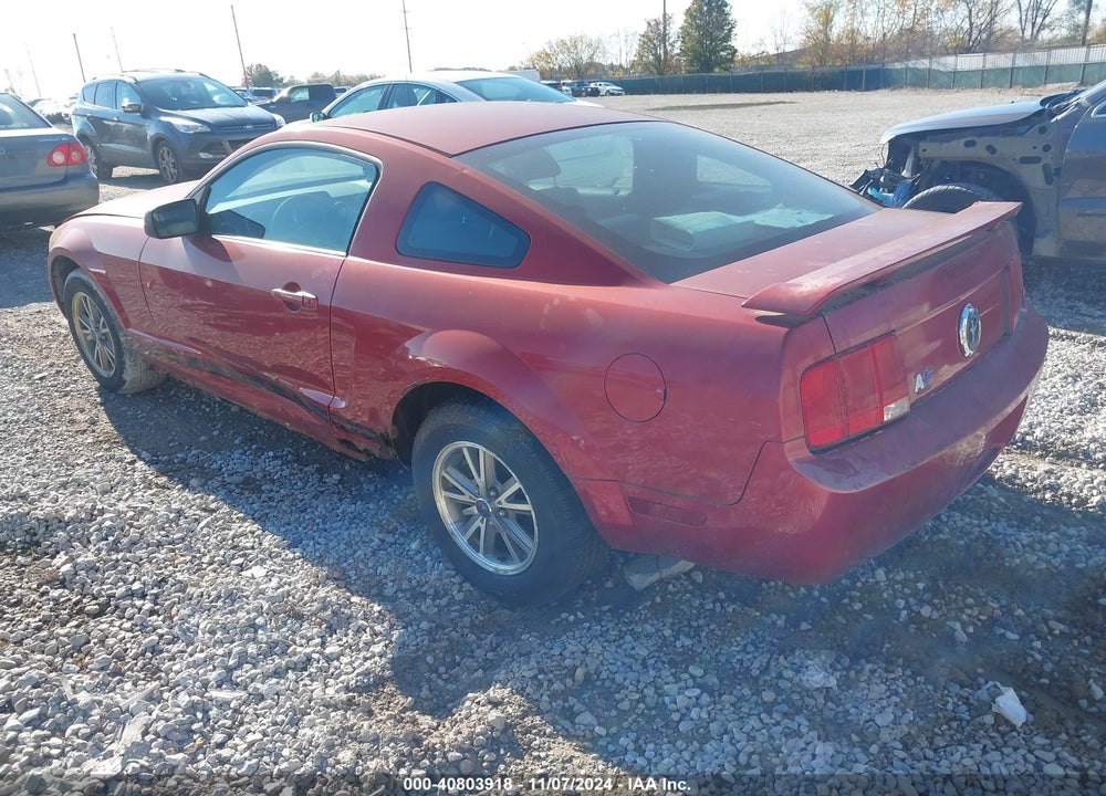 2005 FORD MUSTANG V6 DELUXE/V6 PREMIUM VIN: 1ZVFT80N355131992