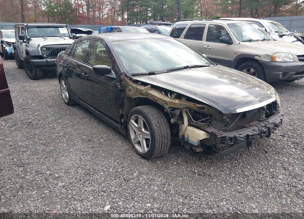 2004 ACURA TL VIN: 19UUA66274A013940