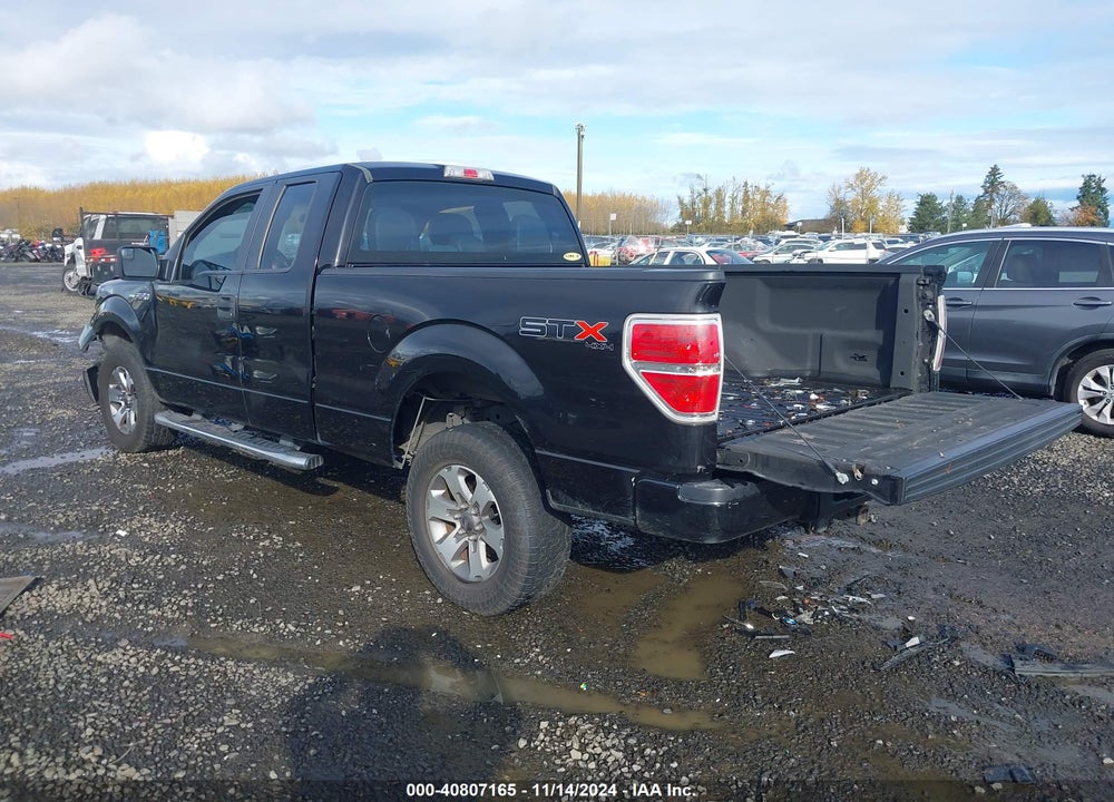 2013 FORD F-150 FX4/LARIAT/STX/XL/XLT VIN: 1FTFX1EF8DKG52495