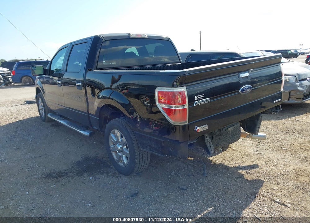 2013 FORD F-150 XLT VIN: 1FTFW1CF5DKG07701