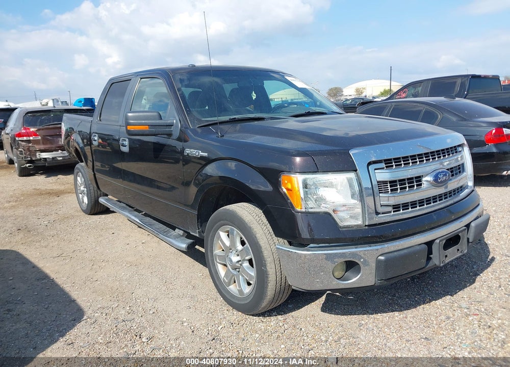 2013 FORD F-150 XLT VIN: 1FTFW1CF5DKG07701