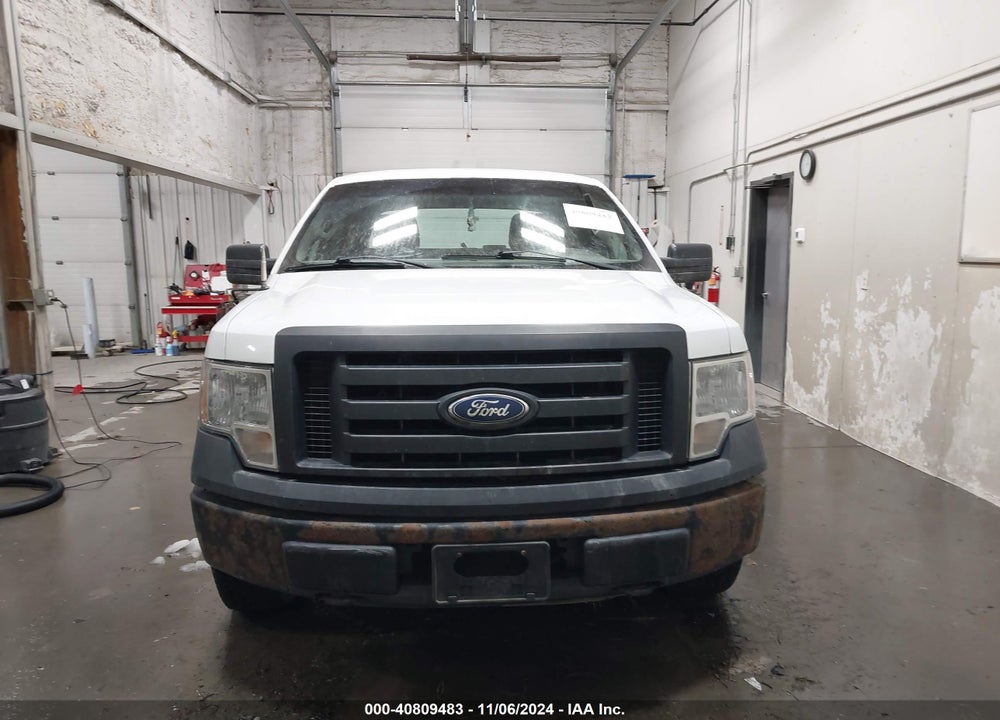 2010 FORD F-150 XL/XLT VIN: 1FTEW1E87AFD89999
