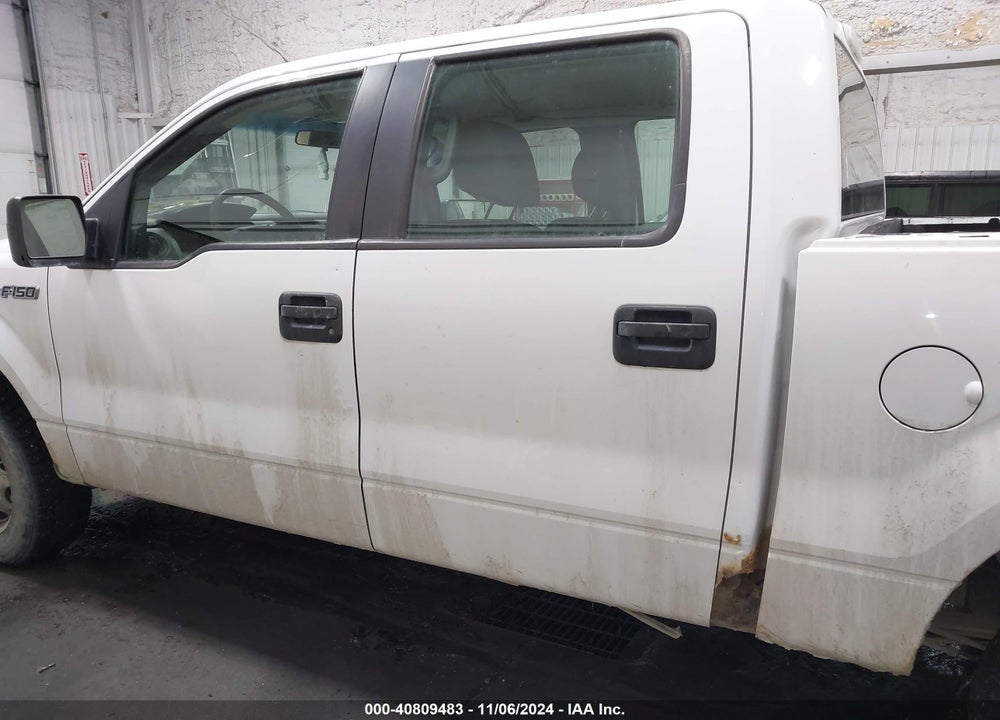 2010 FORD F-150 XL/XLT VIN: 1FTEW1E87AFD89999