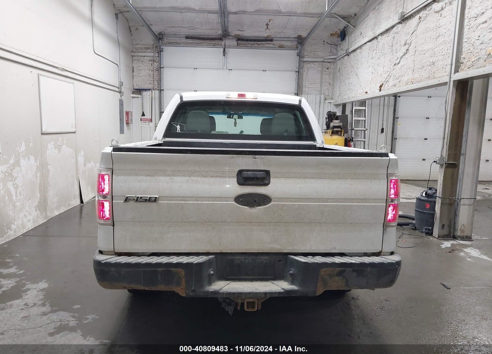 2010 FORD F-150 XL/XLT VIN: 1FTEW1E87AFD89999