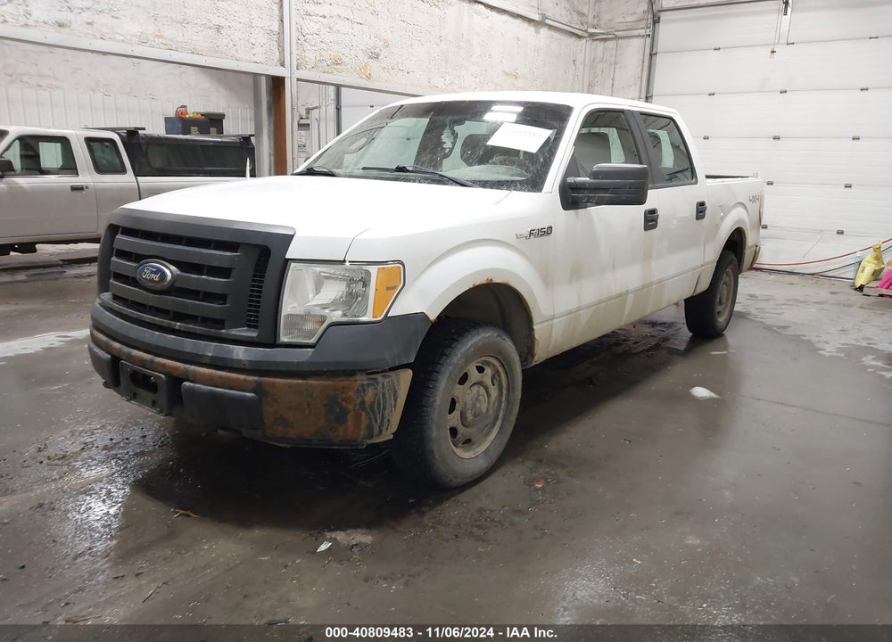 2010 FORD F-150 XL/XLT VIN: 1FTEW1E87AFD89999
