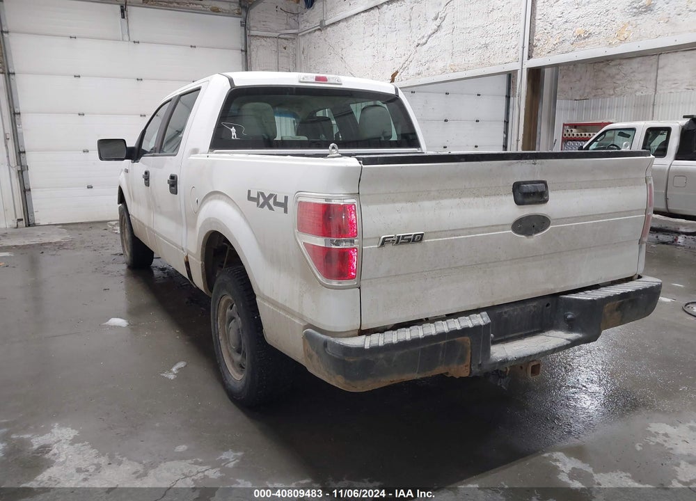 2010 FORD F-150 XL/XLT VIN: 1FTEW1E87AFD89999