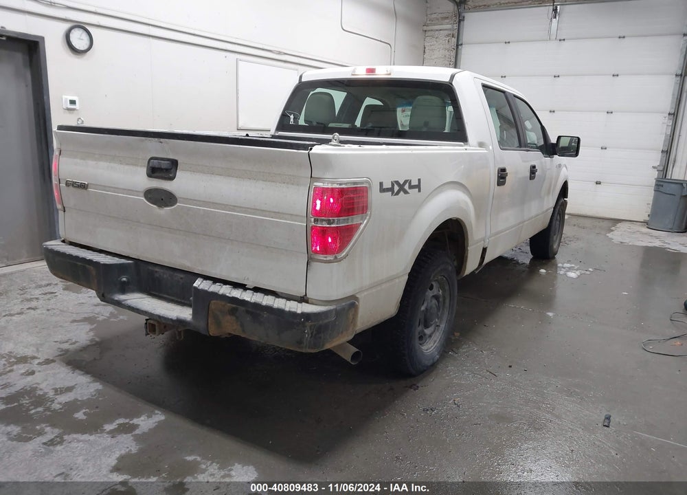 2010 FORD F-150 XL/XLT VIN: 1FTEW1E87AFD89999