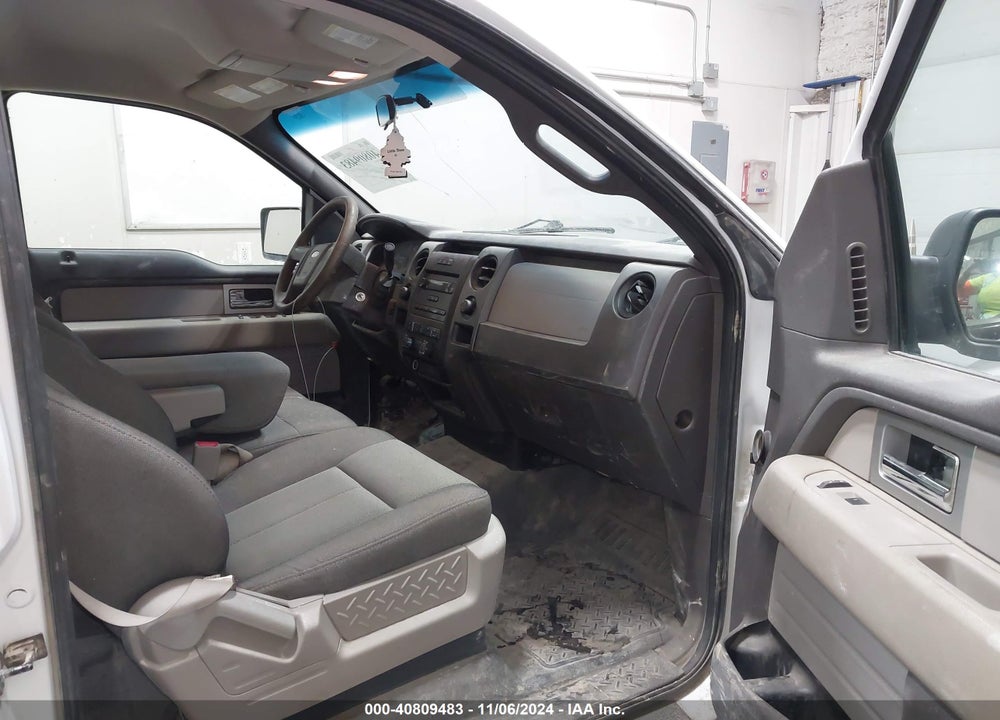 2010 FORD F-150 XL/XLT VIN: 1FTEW1E87AFD89999