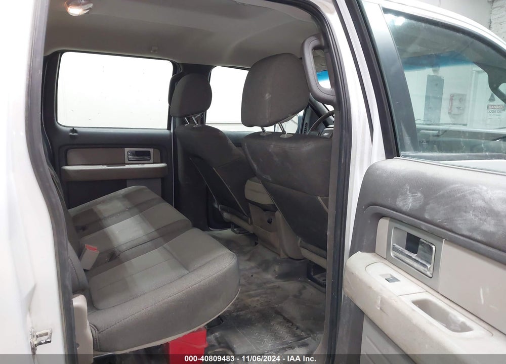 2010 FORD F-150 XL/XLT VIN: 1FTEW1E87AFD89999