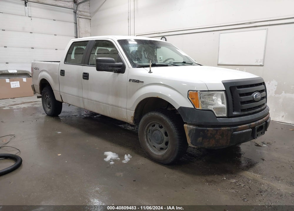 2010 FORD F-150 XL/XLT VIN: 1FTEW1E87AFD89999