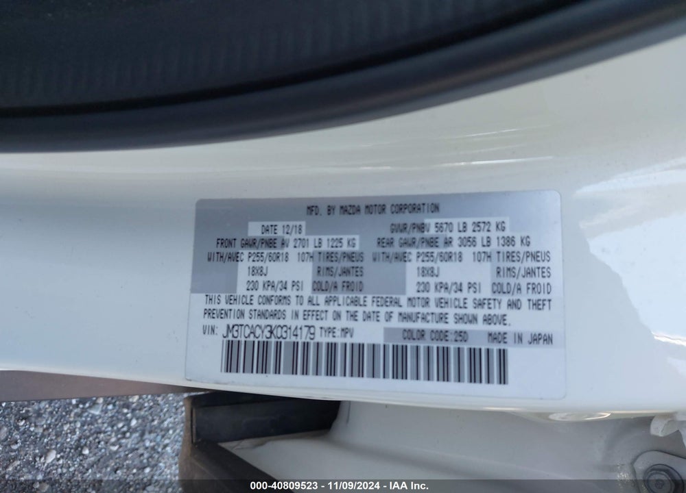 2019 MAZDA CX-9 TOURING VIN: JM3TCACY3K0314179