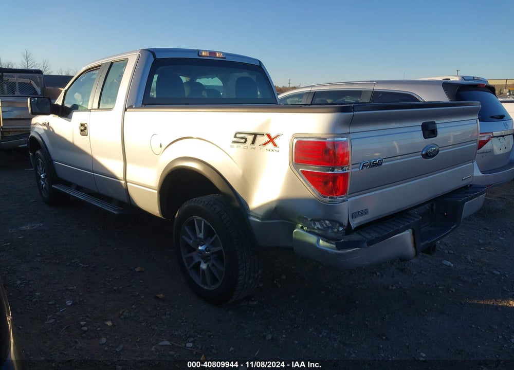 2014 FORD F-150 VIN: 1FTFX1EF4EKF42173
