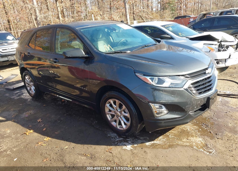 2020 CHEVROLET EQUINOX FWD LS VIN: 2GNAXHEV9L6171271