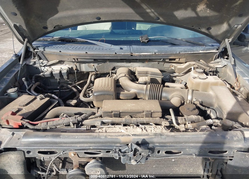 2010 FORD F-150 FX4/LARIAT/XL/XLT VIN: 1FTFX1EV9AFC87675