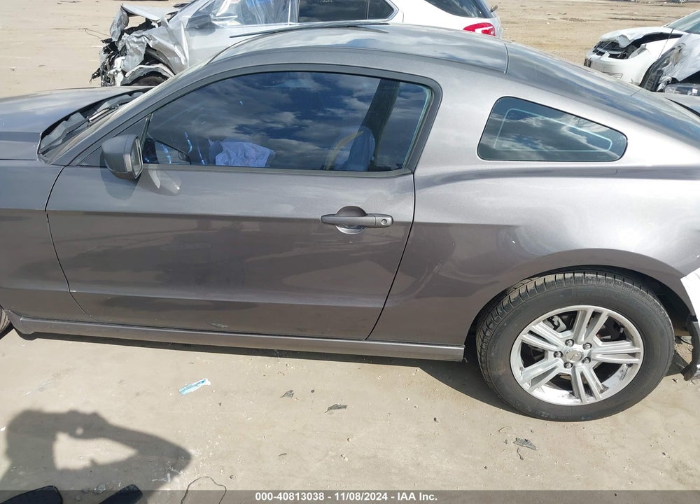2014 FORD MUSTANG VIN: 1ZVBP8AM9E5280755
