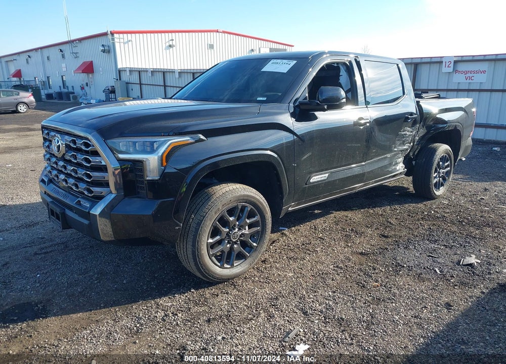 2023 TOYOTA TUNDRA PLATINUM VIN: 5TFNA5DBXPX117873