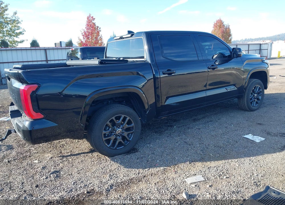 2023 TOYOTA TUNDRA PLATINUM VIN: 5TFNA5DBXPX117873