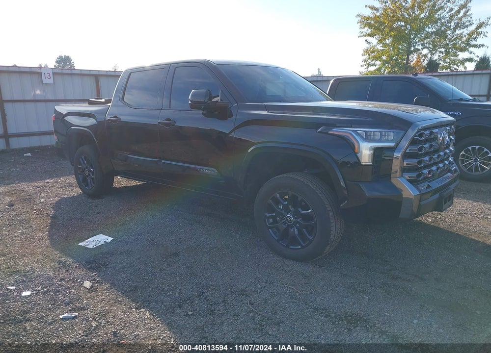 2023 TOYOTA TUNDRA PLATINUM VIN: 5TFNA5DBXPX117873