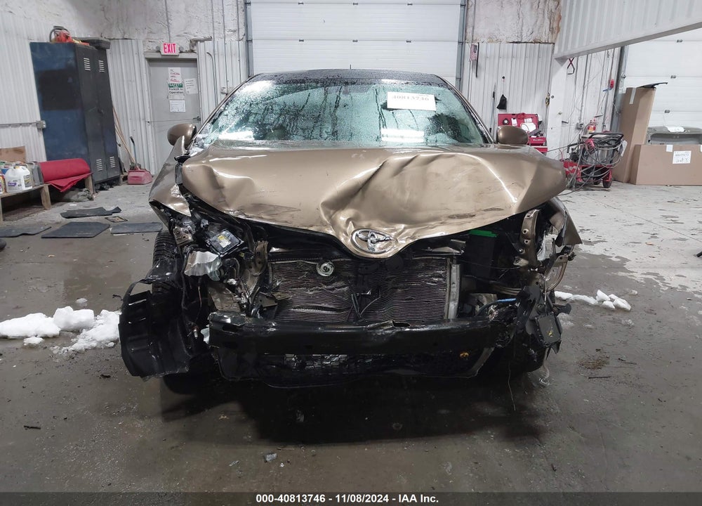 2009 TOYOTA VENZA VIN: 4T3BK11A49U011821