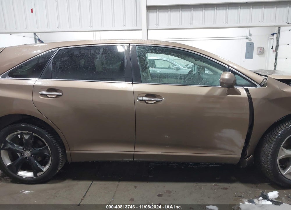 2009 TOYOTA VENZA VIN: 4T3BK11A49U011821