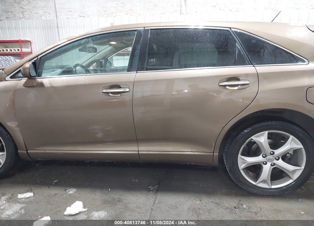2009 TOYOTA VENZA VIN: 4T3BK11A49U011821