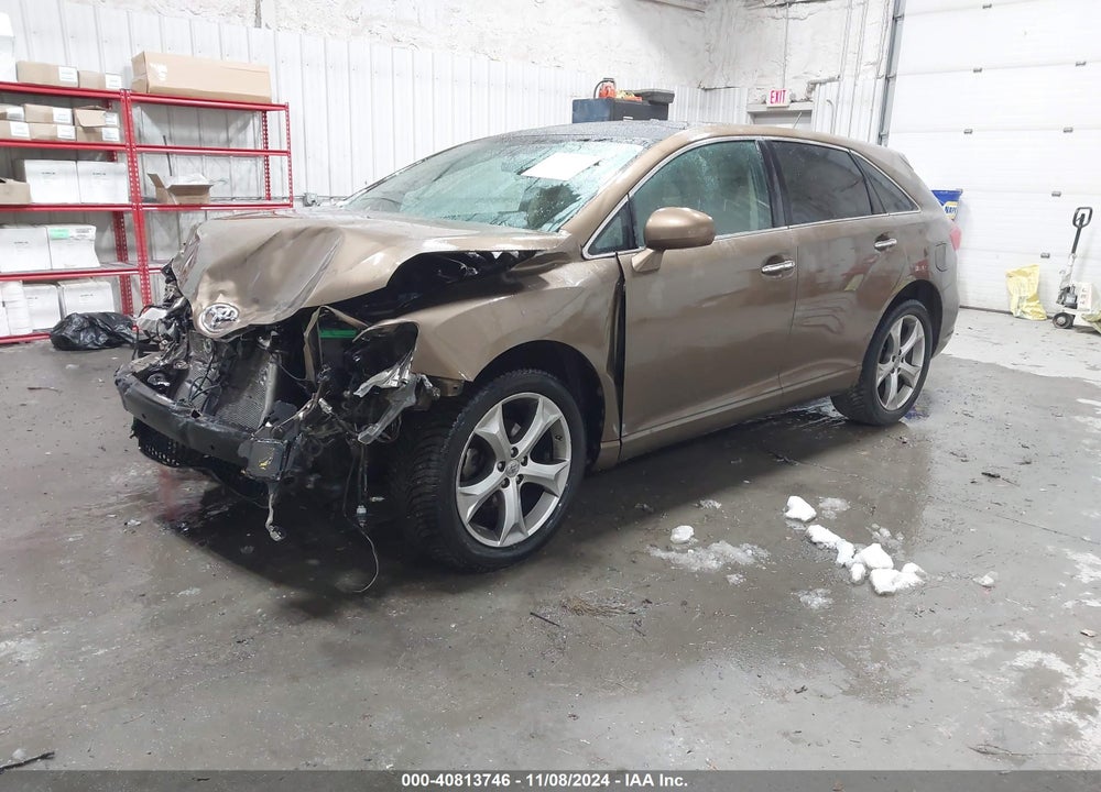 2009 TOYOTA VENZA VIN: 4T3BK11A49U011821