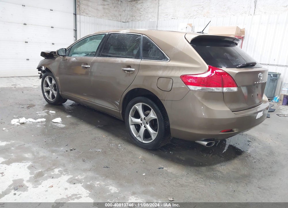 2009 TOYOTA VENZA VIN: 4T3BK11A49U011821