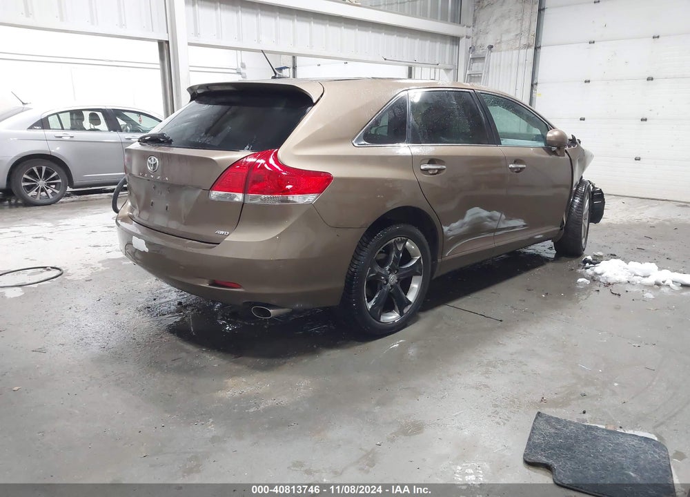 2009 TOYOTA VENZA VIN: 4T3BK11A49U011821