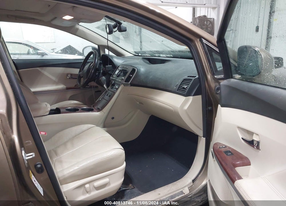 2009 TOYOTA VENZA VIN: 4T3BK11A49U011821