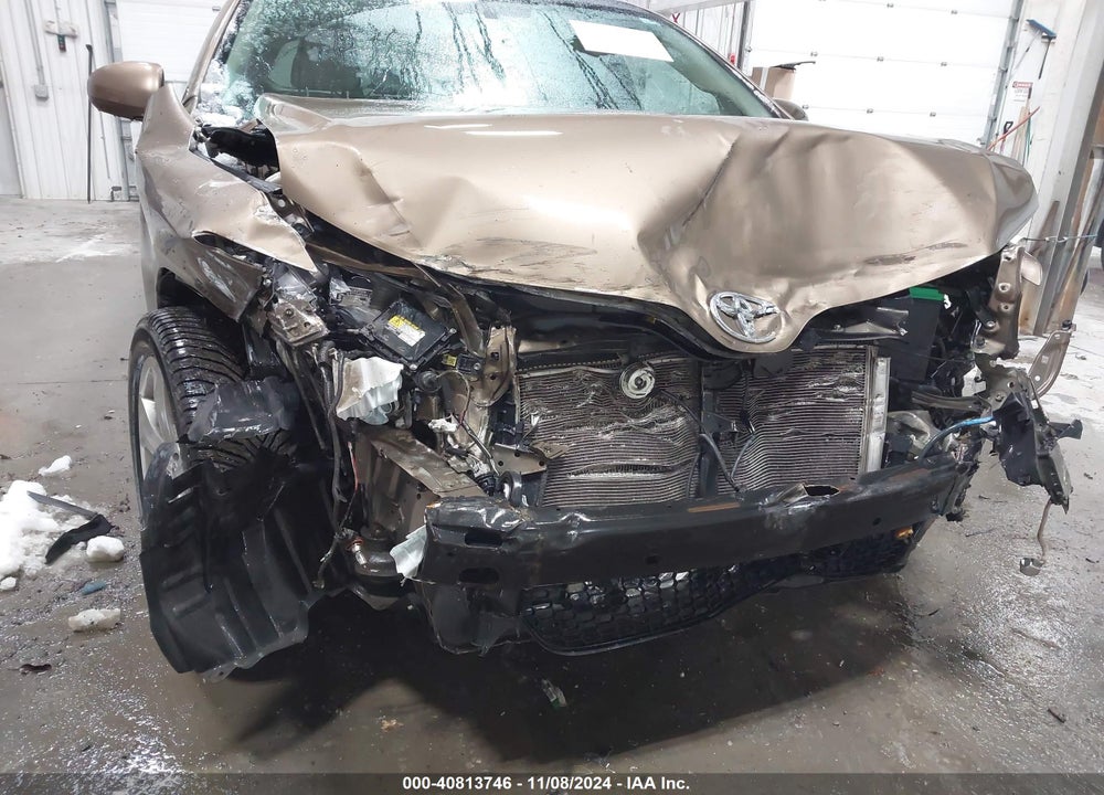 2009 TOYOTA VENZA VIN: 4T3BK11A49U011821