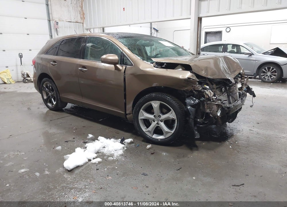 2009 TOYOTA VENZA VIN: 4T3BK11A49U011821