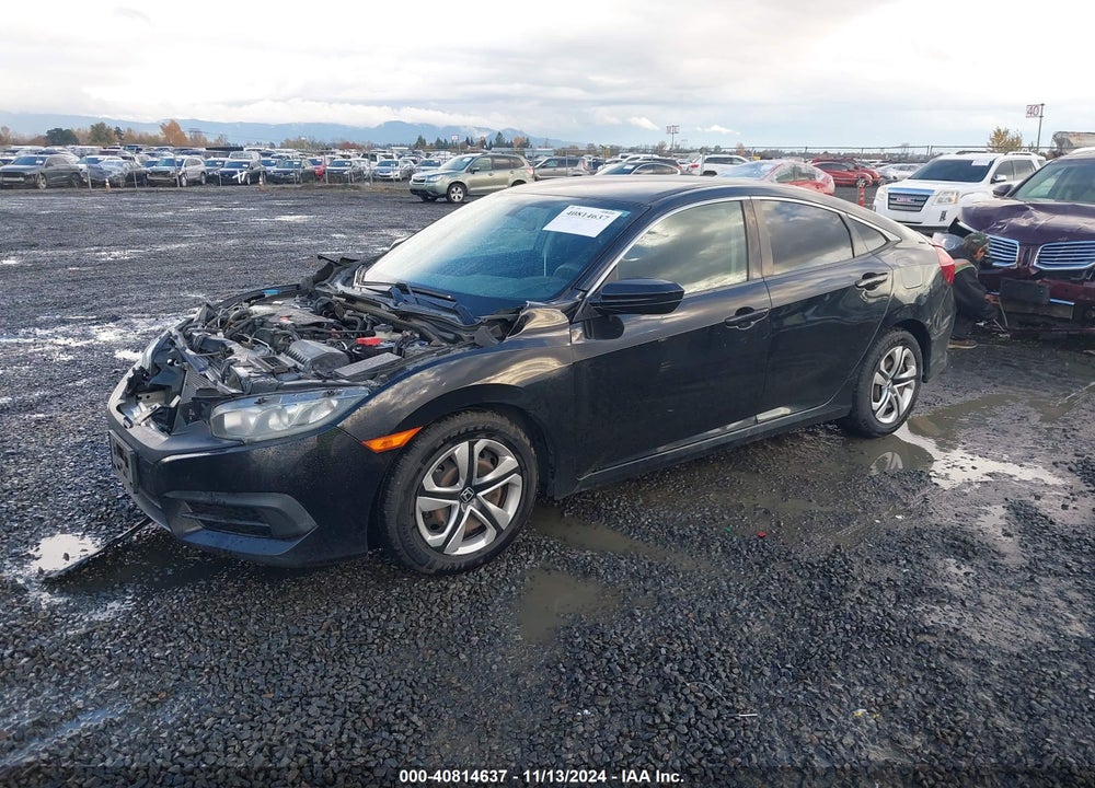 2016 HONDA CIVIC LX VIN: 2HGFC2F50GH523588