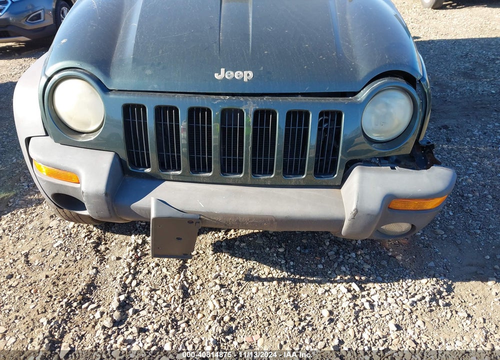 2002 JEEP LIBERTY SPORT VIN: 1J4GL48K82W125129
