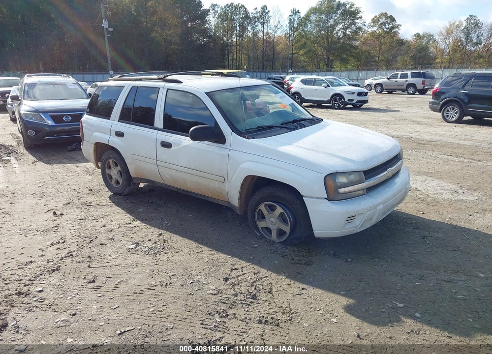 2006 CHEVROLET TRAILBLAZER LS VIN: 1GNDS13S662232797