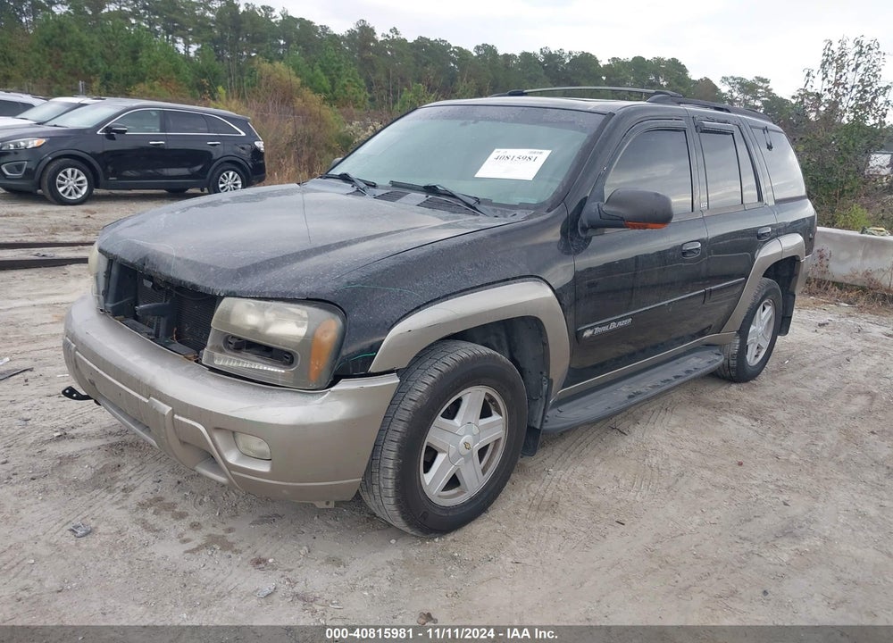 2002 CHEVROLET TRAILBLAZER LTZ VIN: 1GNDS13S022408138